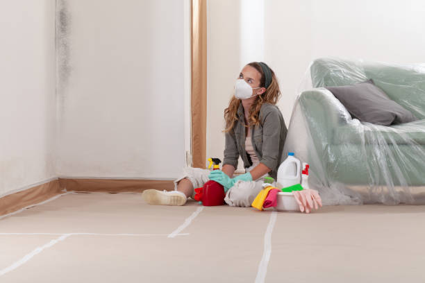 Reliable Mold Cleanup contractor in Elon, NC by Cheap Mold Removal